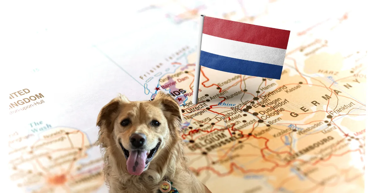 Raphie goes to the Netherlands