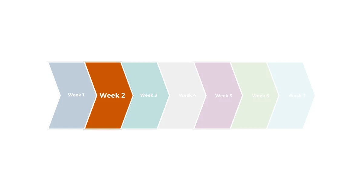 Decoding How ChatGPT & Perplexity Rank Your Content