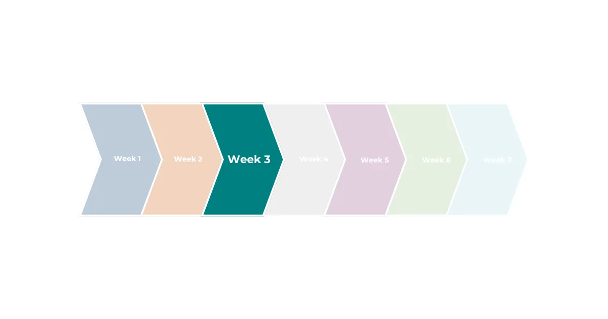 Week three of AI Search Mastery
